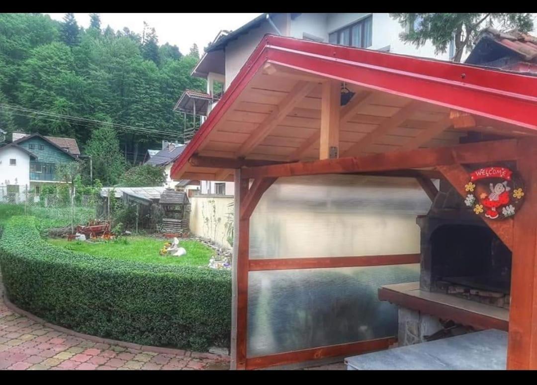 Vila Emily Buşteni Exteriér fotografie