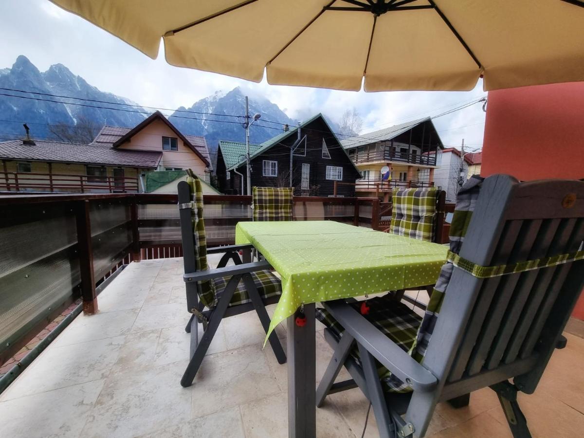 Vila Emily Buşteni Exteriér fotografie