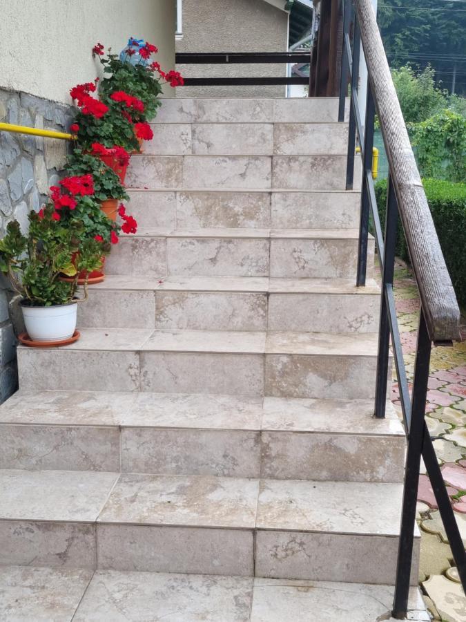 Vila Emily Buşteni Exteriér fotografie