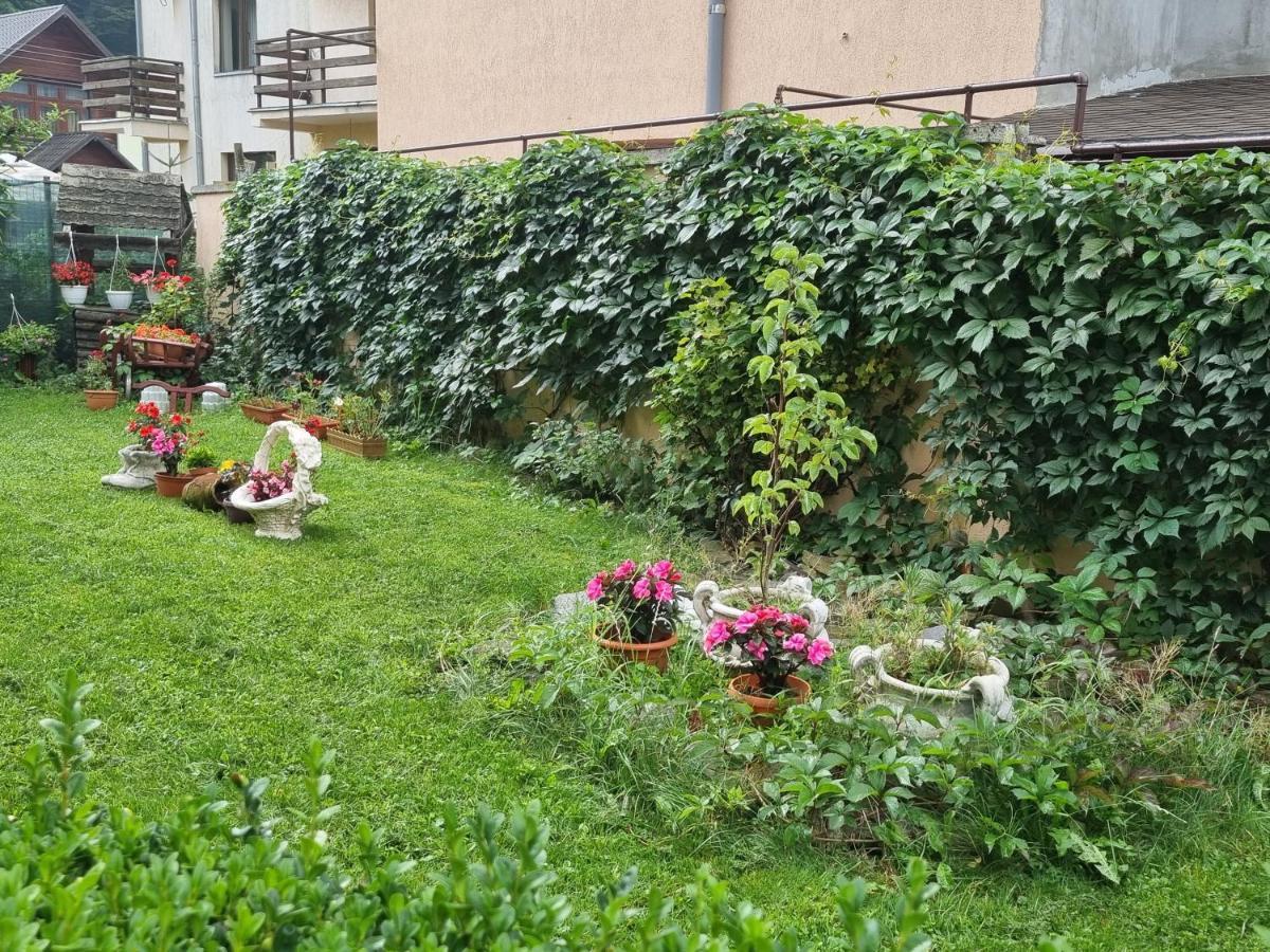 Vila Emily Buşteni Exteriér fotografie