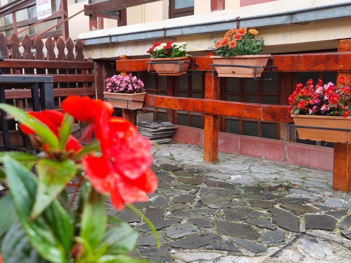 Vila Emily Buşteni Exteriér fotografie