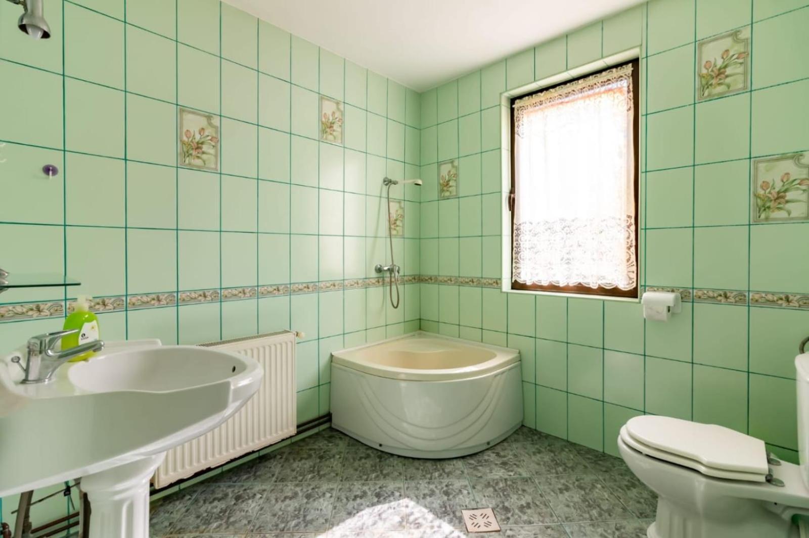 Vila Emily Buşteni Exteriér fotografie